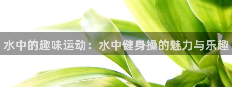 龙8国际真钱