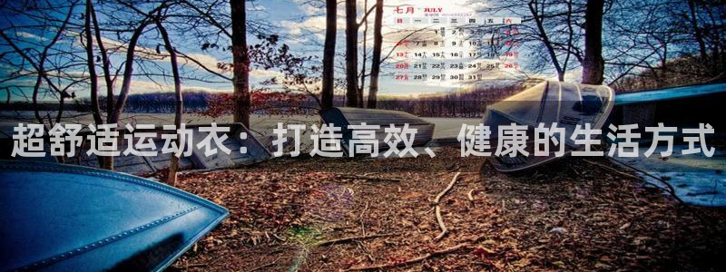龙8 国际
