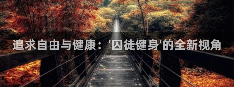 龙8国际官网进入