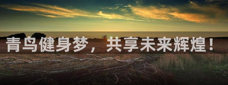 龙8国际游戏官方进入的介绍