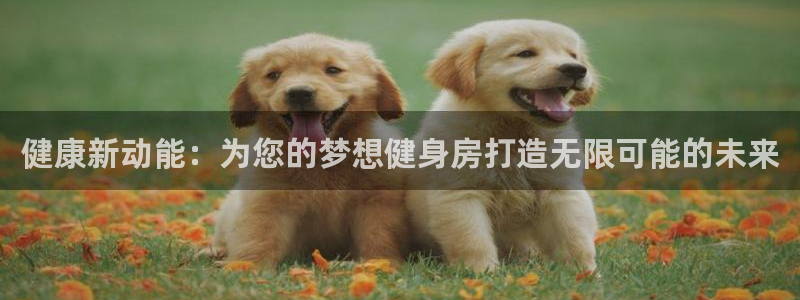 龙8游戏官方网站z