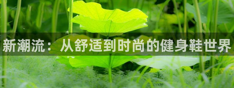 龙八国际城