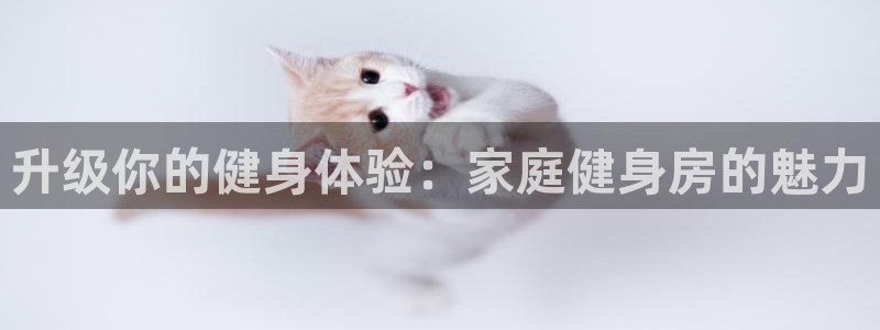 龙8国际long88(中国)官方网站